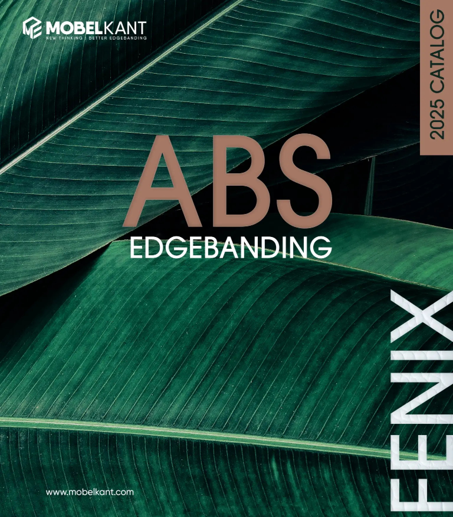 Fenix ABS Kartelası