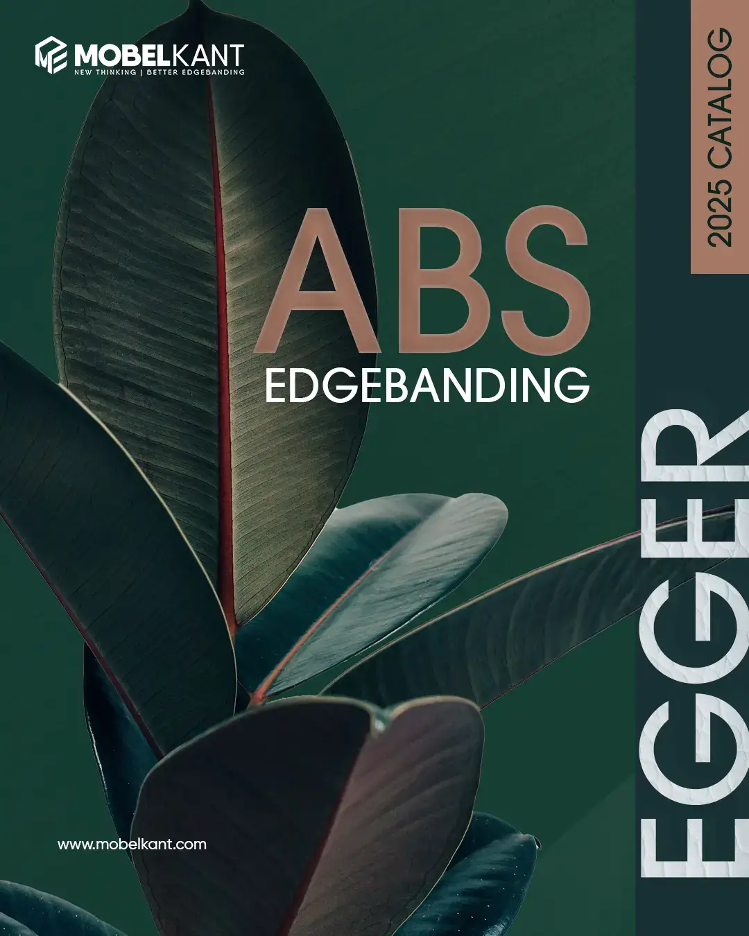 Диаграмма Egger ABS